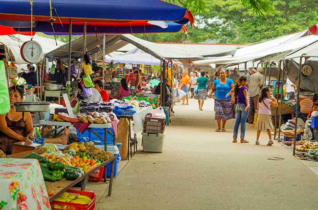 San Ignacio Farmers Market